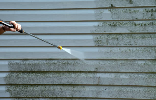 Best Toxic Mold Removal  in Breckinridge Center, KY