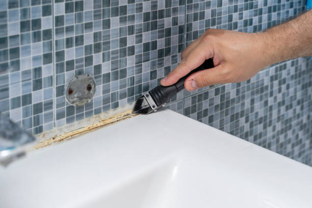 Best Local Mold Removal Service  in Breckinridge Center, KY