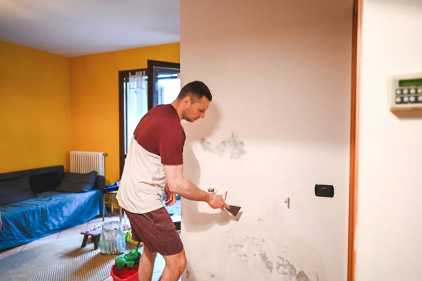 Best Certified Mold Removal  in Breckinridge Center, KY